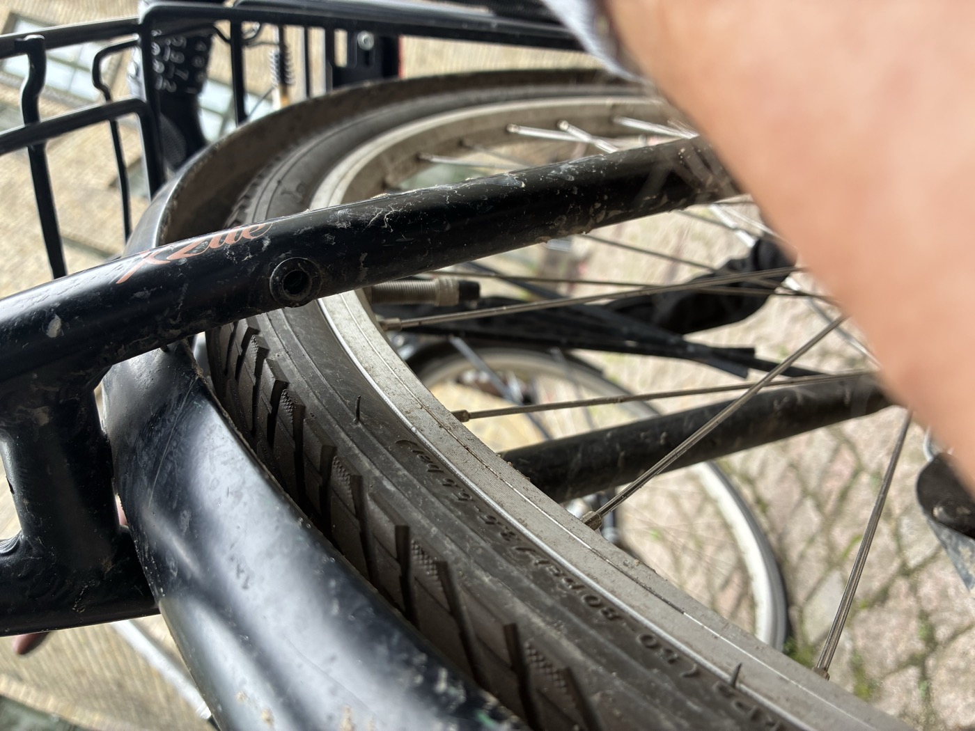 Mounting hole beside the rear wheel